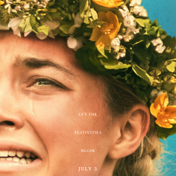 Movies You Would Like to Watch If You Like Midsommar (2019)
