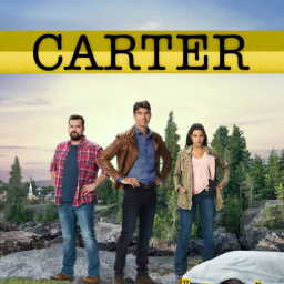 Tv Shows You Should Watch If You Like Carter (2018)