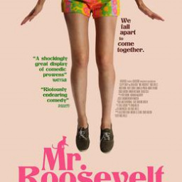 Movies You Would Like to Watch If You Like Mr. Roosevelt (2017)