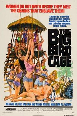 Most Similar Movies to the Big Bird Cage (1972)