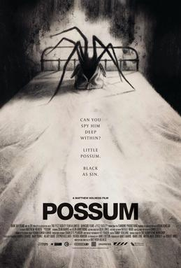 Movies You Should Watch If You Like Possum (2018)