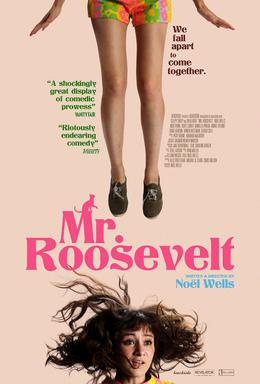 Movies You Would Like to Watch If You Like Mr. Roosevelt (2017)
