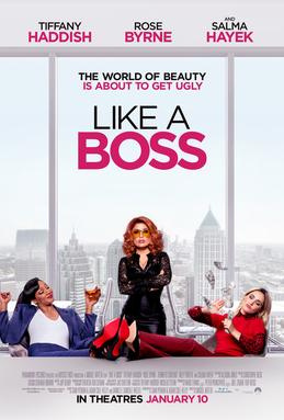 Movies You Would Like to Watch If You Like Like a Boss (2020)