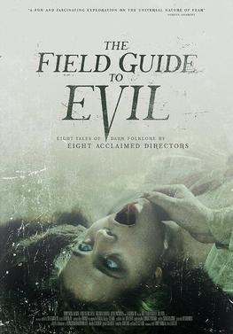 Movies You Should Watch If You Like the Field Guide to Evil (2018)