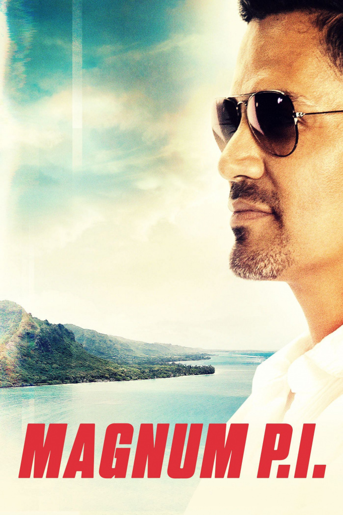 Tv Shows You Would Like to Watch If You Like Magnum P.I. (2018)