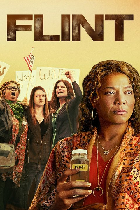 Movies You Should Watch If You Like Flint (2017)