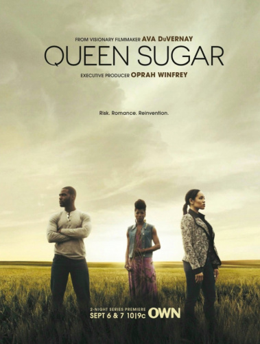 Queen Sugar (2016) - Tv Shows You Should Watch If You Like Ragnarok (2020)