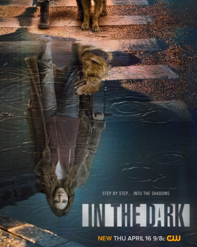 In the Dark (2019) - Most Similar Tv Shows to Lodge 49 (2018 - 2019)