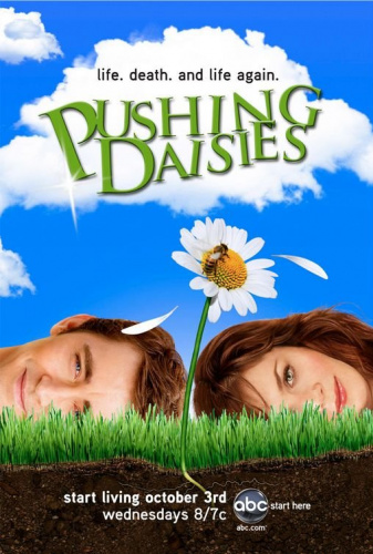 Pushing Daisies (2007 - 2009) - More Tv Shows Like Miracle Workers (2019)